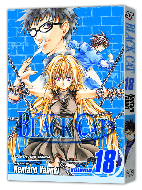 Black Cat Vol 18