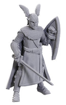 Nolzur's Marvelous Miniatures: 50th Anniversary - Elves