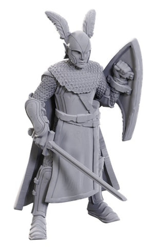 Nolzur's Marvelous Miniatures: 50th Anniversary - Elves