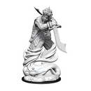 Nolzur's Marvelous Miniatures: Djinni