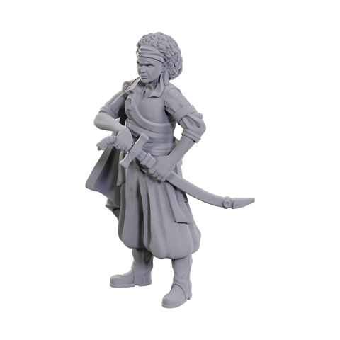 Nolzur's Marvelous Miniatures: Ansalon Human Rogue