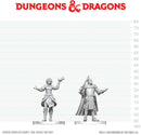 Nolzur's Marvelous Miniatures: Knight & Mage Apprentice