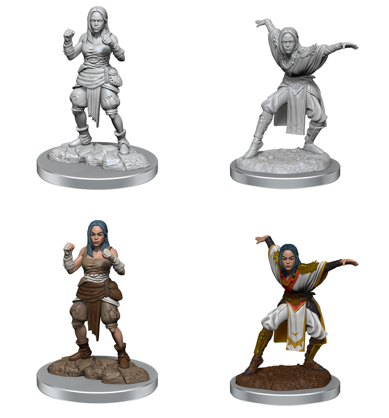 Pathfinder Battles Deep Cuts: Half-Elf Monk Female