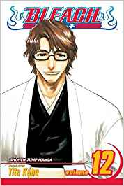 Bleach Vol 12