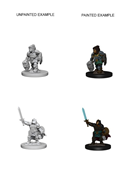 Nolzur's Marvelous Miniatures: Dwarf Female Paladin