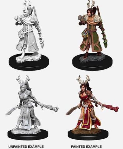 Nolzur's Marvelous Miniatures: Female Human Druid
