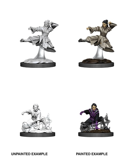 Nolzur's Marvelous Miniatures: Female Human Monk
