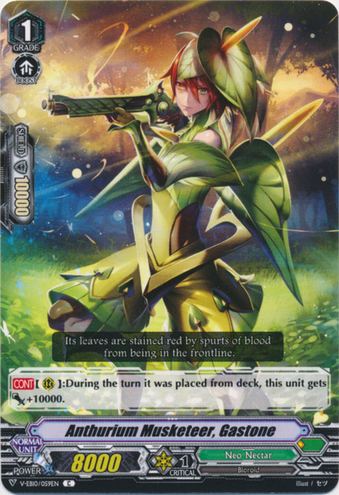 Anthurium Musketeer, Gastone - V-EB10/059EN - C