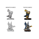 Nolzur's Marvelous Miniatures: Dwarf Male Paladin