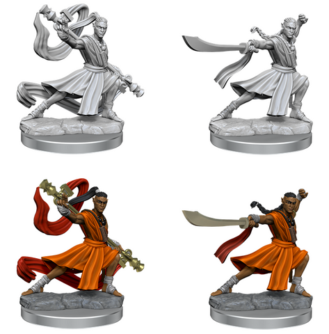 Dungeons & Dragons Frameworks: Elf Monk