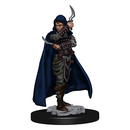 Pathfinder Battles Premium Figures: Human Female Rogue