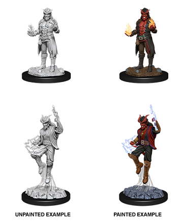 Nolzur's Marvelous Miniatures: Male Tiefling Sorcerer