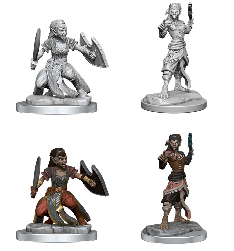 Nolzur's Marvelous Miniatures: Shifter Fighter