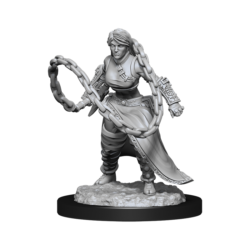 Nolzur's Marvelous Miniatures: Human Monk (Female)