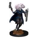 Nolzur's Marvelous Miniatures: Changeling Cleric Male