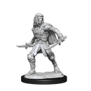 Nolzur's Marvelous Miniatures: Warforged Rogue