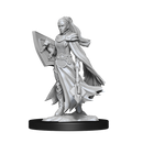 Nolzur's Marvelous Miniatures: Kalashtar Cleric Female