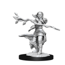 Nolzur's Marvelous Miniatures: Human Druid Female