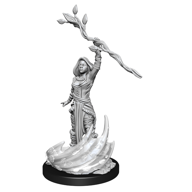 Nolzur's Marvelous Miniatures: Human Druid Female