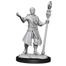 Nolzur's Marvelous Miniatures: Half-Elf Wizard Male