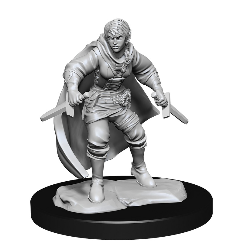 Nolzur's Marvelous Miniatures: Half-Elf Rogue Female