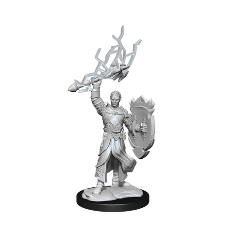 Nolzur's Marvelous Miniatures: Half-Elf Paladin Male