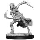 Nolzur's Marvelous Miniatures: Air Genasi