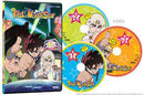 DD Fist of the North Star Complete DVD Collection