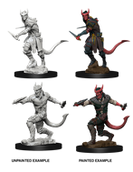 Nolzur's Marvelous Miniatures: Tiefling Male Rogue