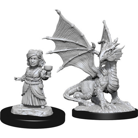 Nolzur's Marvelous Miniatures: Silver Dragon Wyrmling & Female Halfling
