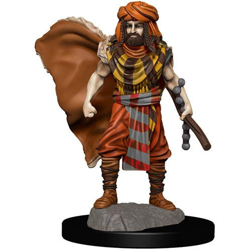 Icons of the Realms: Male Human Druid